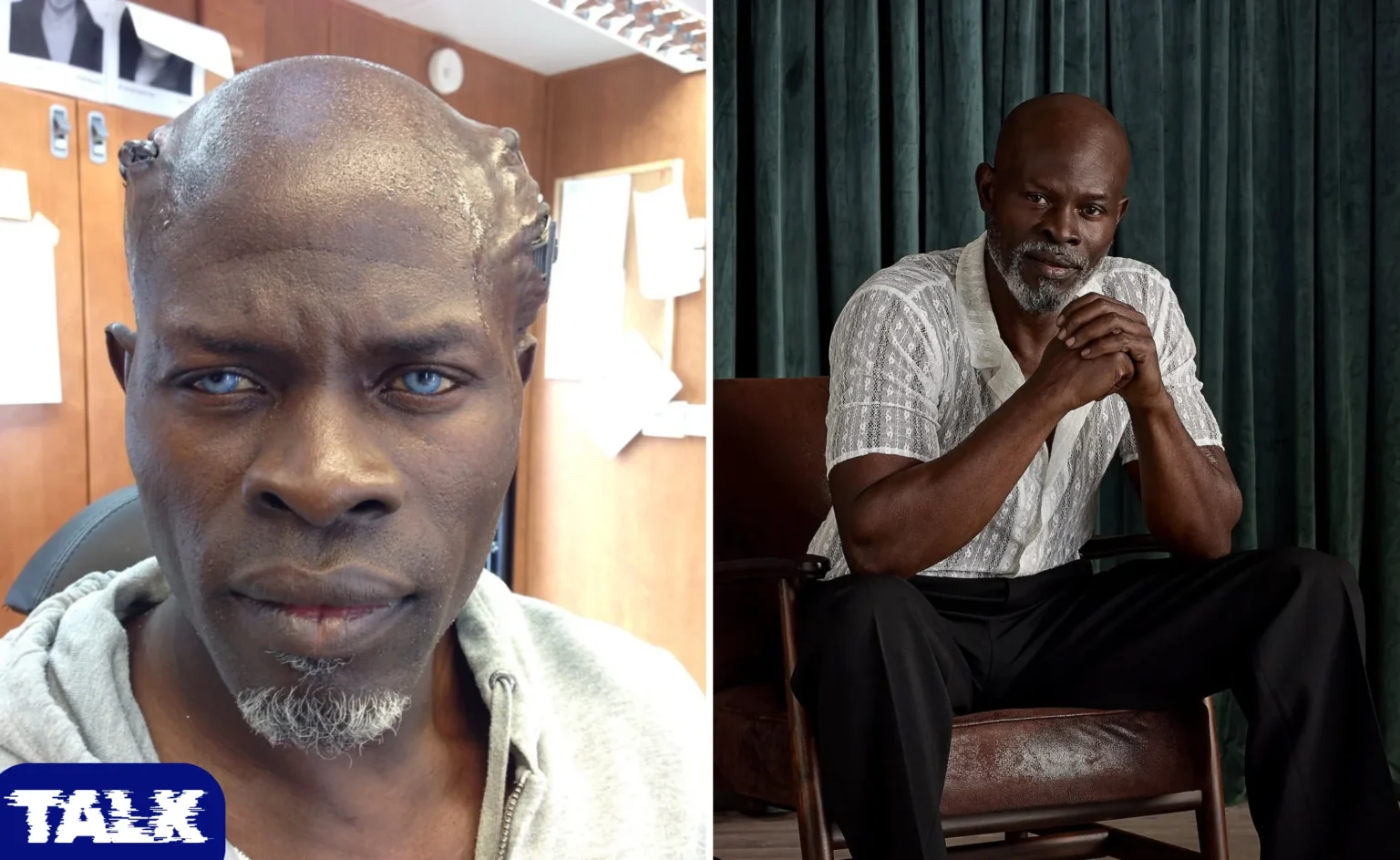 Djimon Hounsou Net Worth