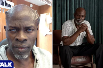 Djimon Hounsou Net Worth